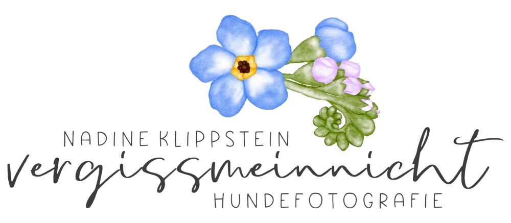 Logo mit Vergissmeinnicht Hundefotografie Nadine Klippstein