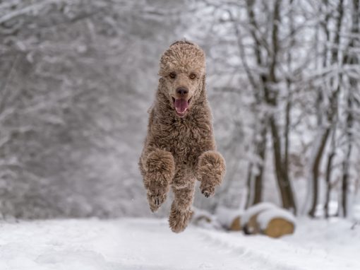 Mein Jahresrueckblick 2023 Mein Jahresrueckblick 2023