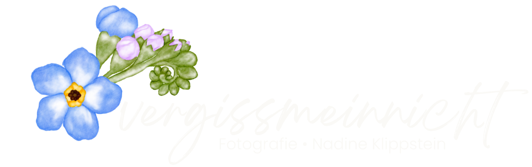 Nadine Klippstein Fotografie, Jena, Kahla, Rudolstadt, Familienfotografie, Babybauch, Newborn Shooting