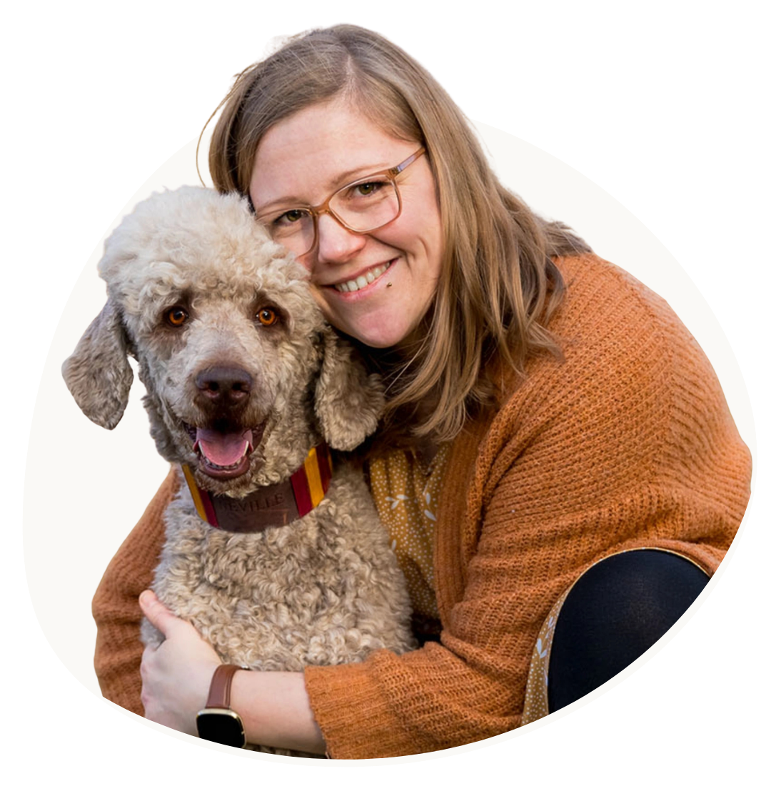 Nadine Klippstein Hundefotografin vergissmeinicht Hundefotografie Jena Weimar Kahla Yorkshiere Terrier